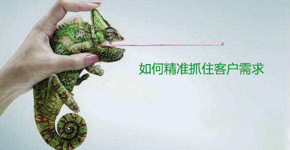 尊龙凯时·(中国)人生就是搏!
公司如何精准抓住客户需求